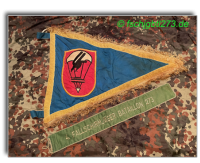 Kompaniewimpel 4./273