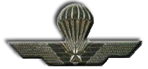 Fallschirmspringerabzeichen Italien