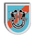 20th Special Forces Group Barettabzeichen
